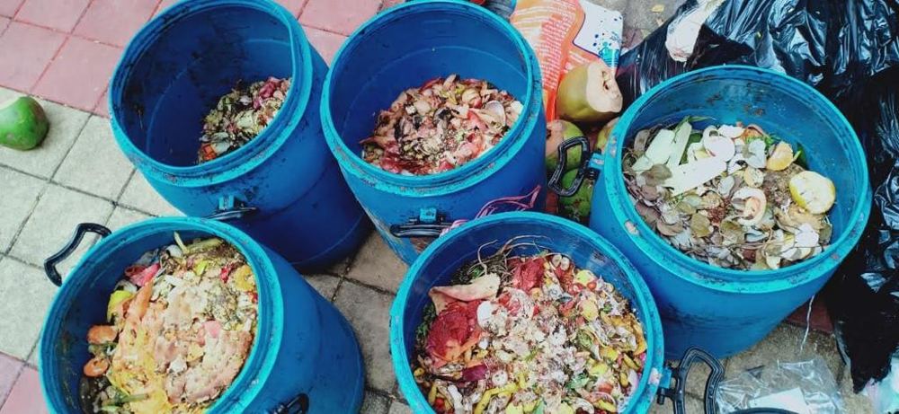 Bins of segregated wet waste ready for collection